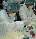 Laboratorio